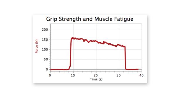 Grip strength and muscle fatigue
