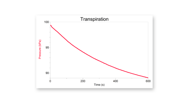Pressure decreases as transpiration occurs